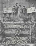 ArmenianArms Amasya