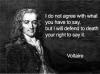 Voltaire freedom of speech